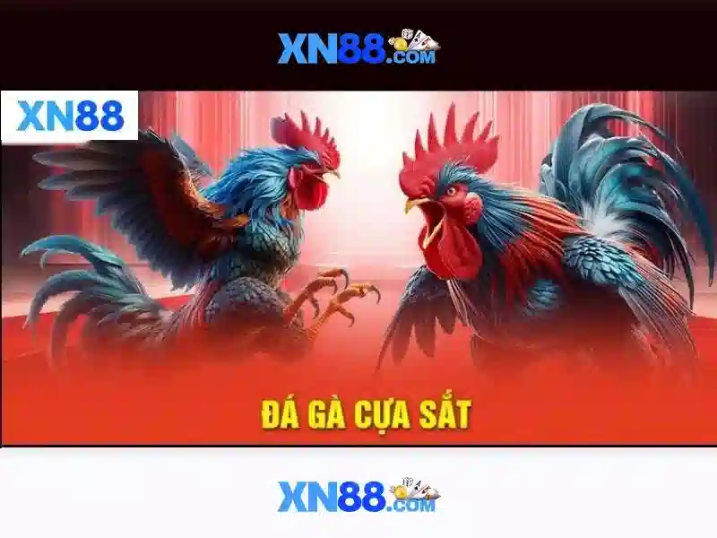 xn88: Đánh giá nền tảng cá cược trực tuyến