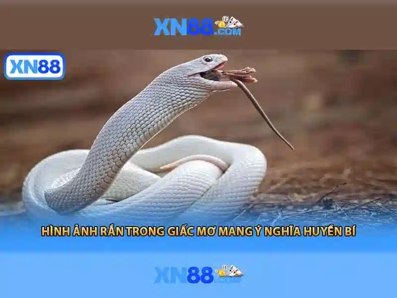 xn88 là gì?