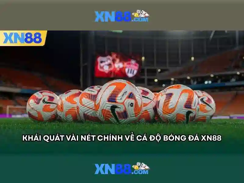Giới thiệu về xn88 Giới thiệu về xn88
