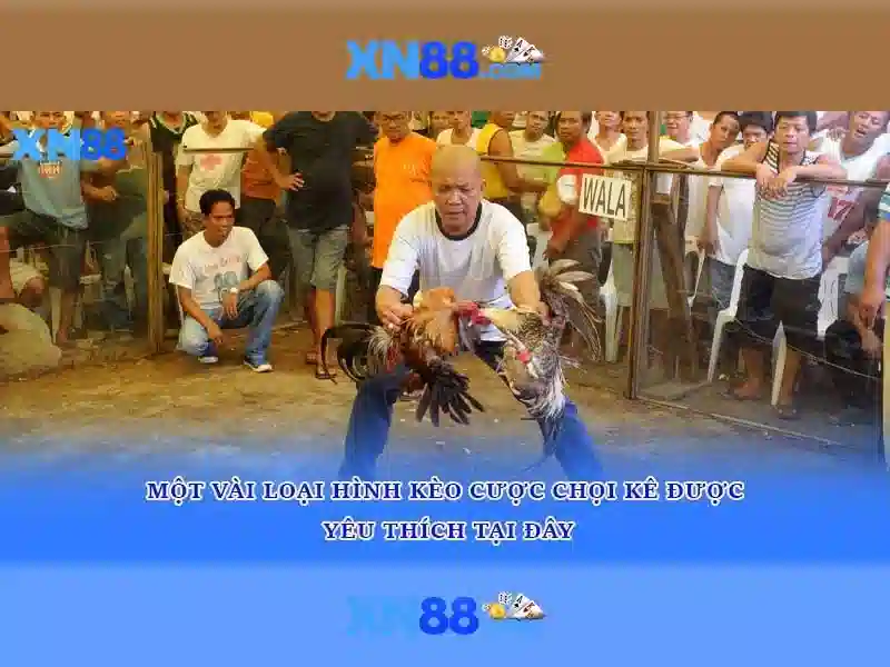 tai xn88 – Nền tảng đổi mới cho app xn88 com