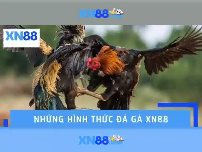 XN88: Tìm hiểu nền tảng chơi game trực tuyến phổ biến
