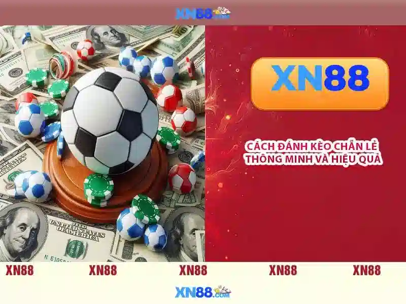 xn88 – Tổng quan về nền tảng đánh bạc trực tuyến đáng tin cậy