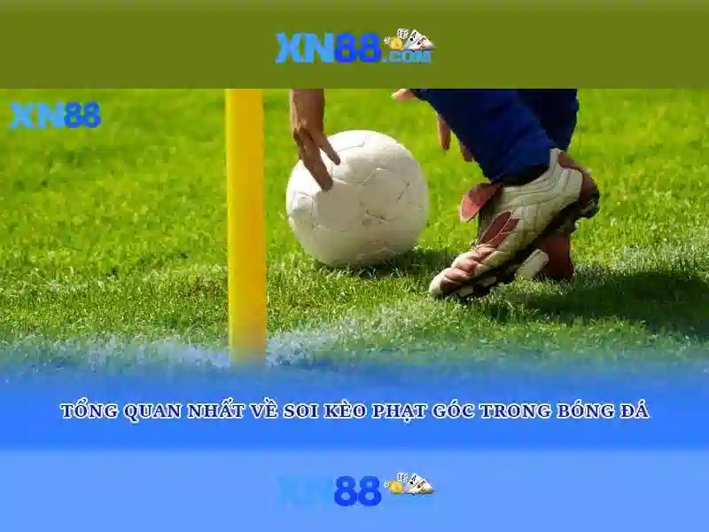 xn88 là gì và những điều bạn cần biết