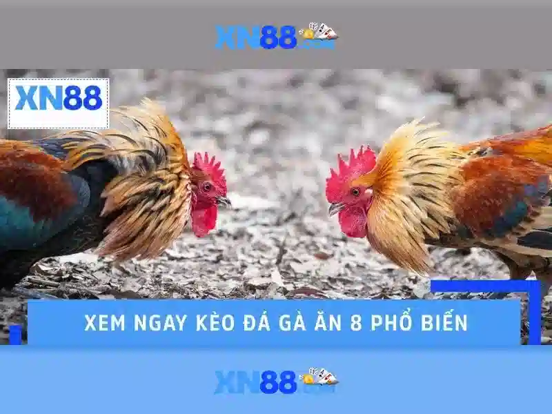 An toàn và bảo mật tại xn88 An toàn và bảo mật tại xn88
