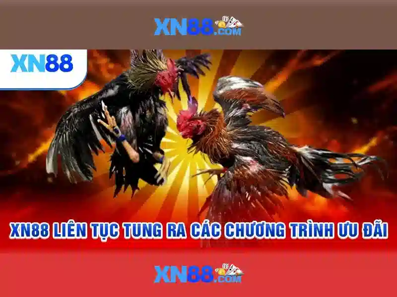 Tổng quan chủ đề và giá trị cốt lõi
