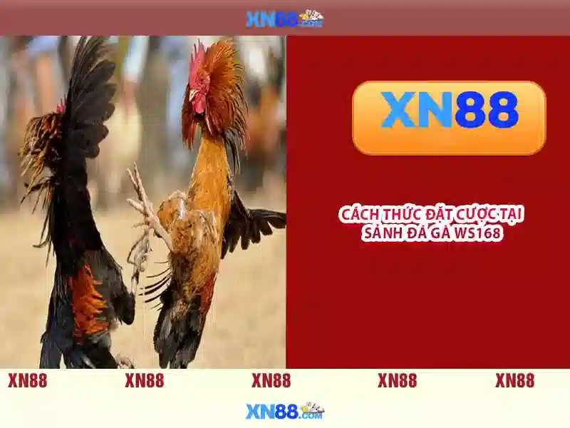 Mẹo chơi bắn cá 3 cây dễ ăn tiền nhà cái