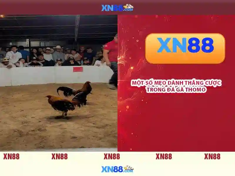 Phát triển tương lai và tầm nhìn của xn88 vip