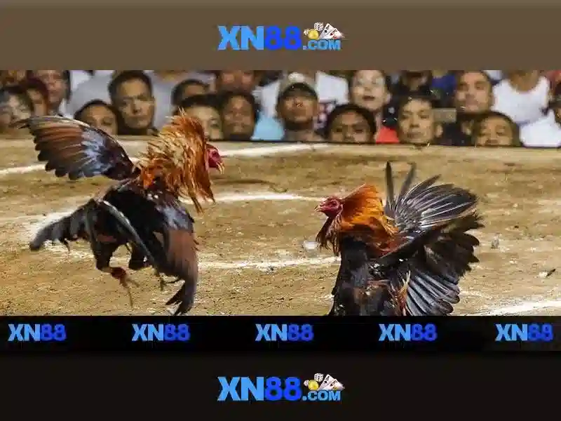 Xn88 là gì? Xn88 là gì?