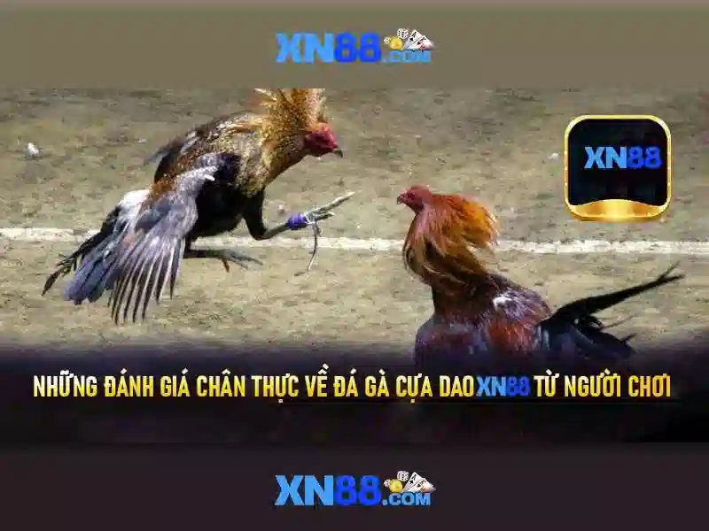 Mẹo chơi bắn cá 3 cây dễ ăn tiền nhà cái