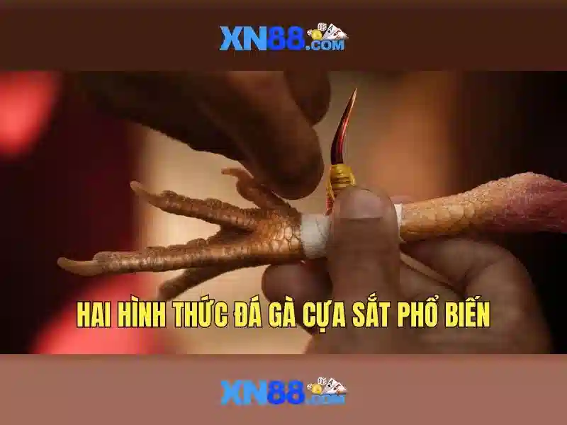 Tính năng nổi bật