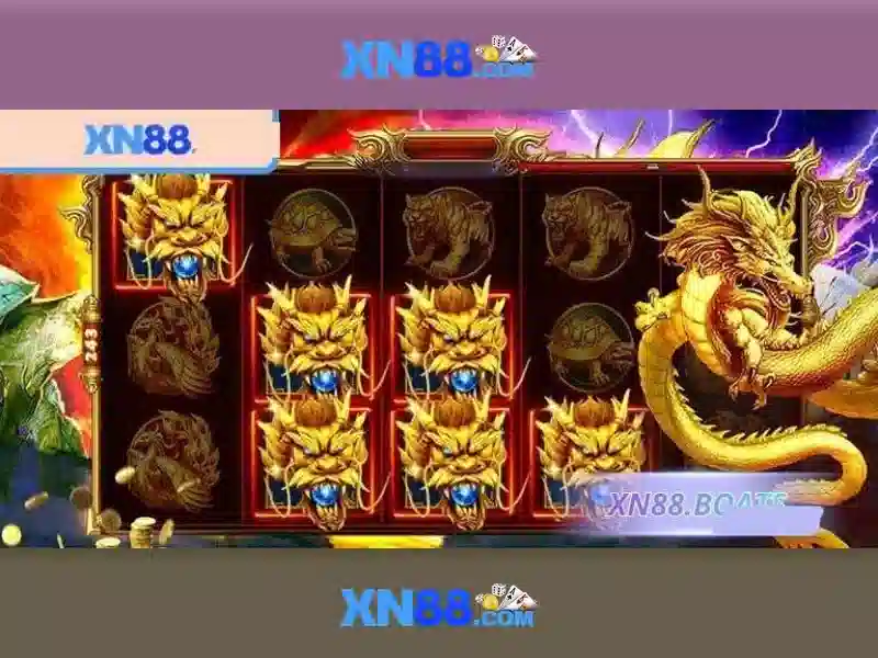 Nền tảng và dịch vụ