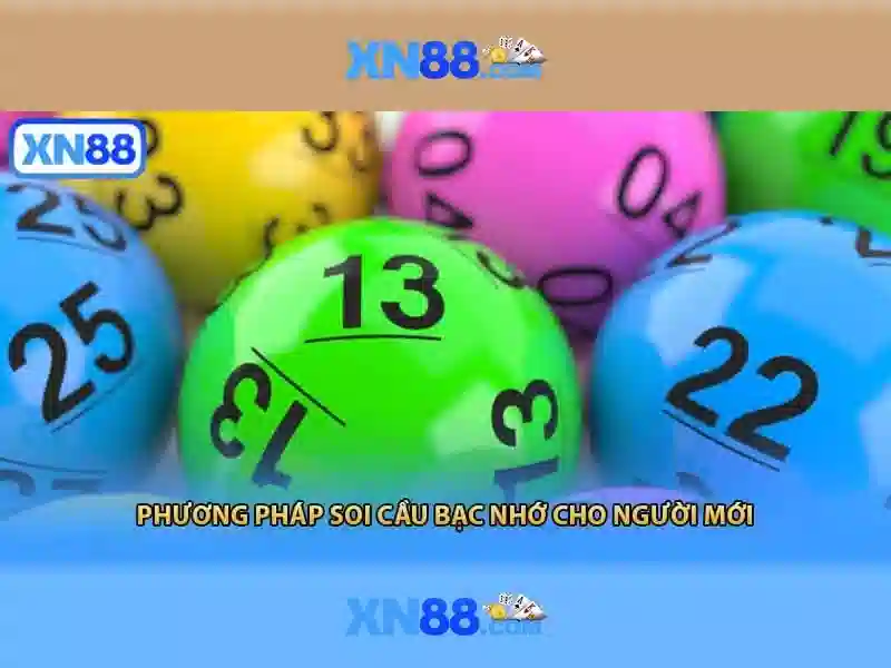 xn88 — Tổng quan và hướng dẫn sử dụng