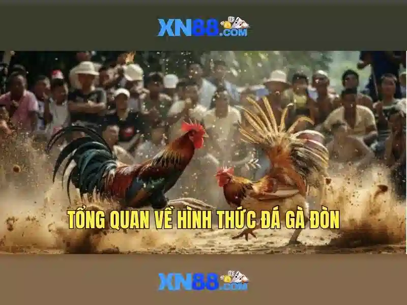 Xn88: Tổng quan về nền tảng và hệ sinh thái