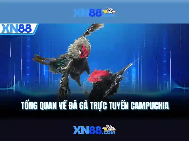 Giới thiệu về xn88 Giới thiệu về xn88
