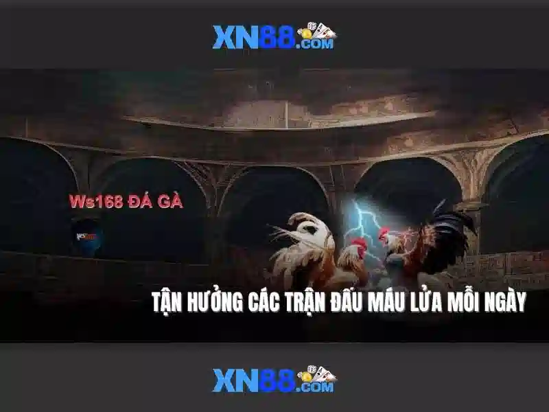 An ninh và hỗ trợ An ninh và hỗ trợ