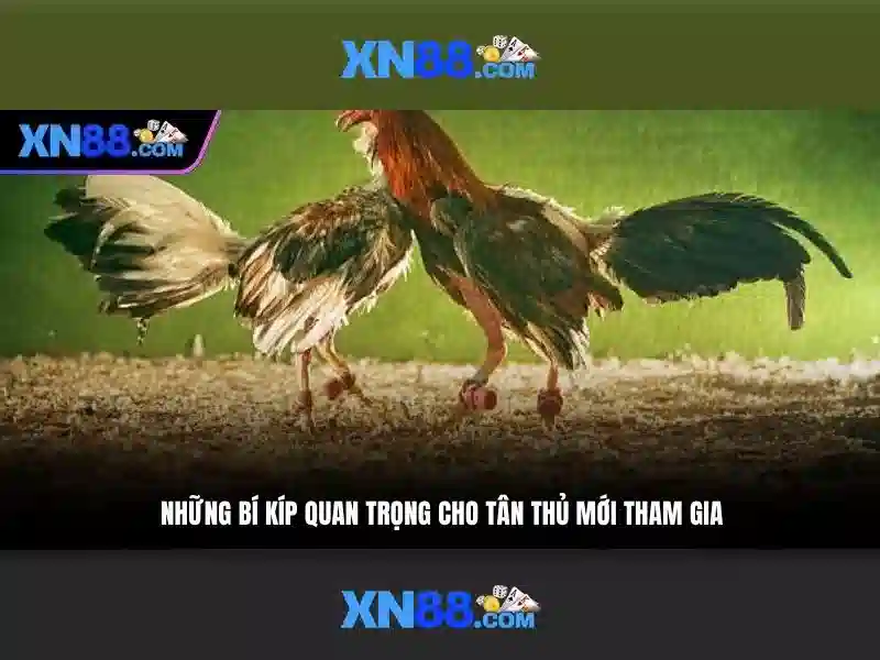 Mẹo chơi bắn cá 3 cây dễ ăn tiền nhà cái