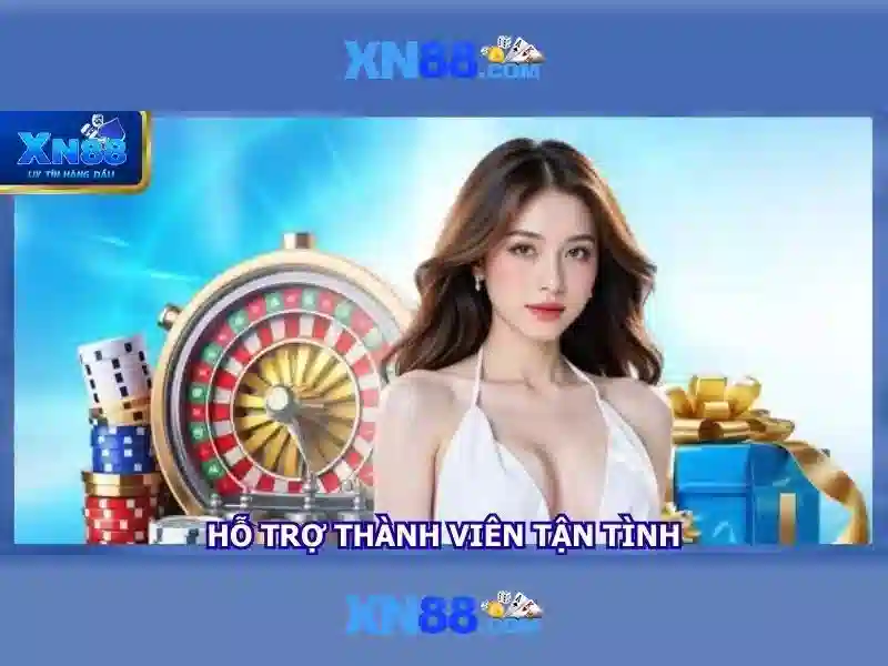 xn88: Tổng quan về nền tảng và tiềm năng tương lai