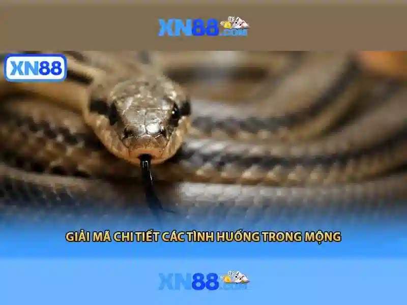 xn88: Tổng quan về nền tảng cá cược trực tuyến
