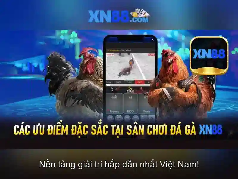 Dịch vụ và sản phẩm của XN88 Dịch vụ và sản phẩm của XN88