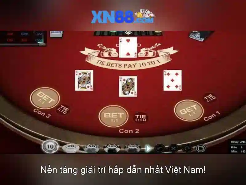 Hướng dẫn tham gia và lưu ý pháp lý Hướng dẫn tham gia và lưu ý pháp lý