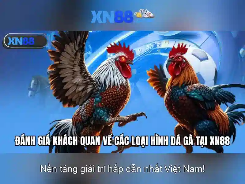 xn88: Khai thác công nghệ và ứng dụng trên mạng