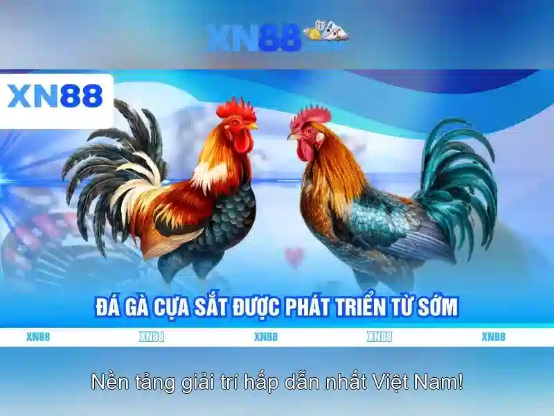 Sản phẩm và dịch vụ cốt lõi ứng dụng