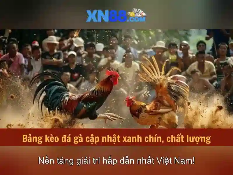 Cac the loai tro choi va trai nghiem nguoi dung\n\n Cac the loai tro choi va trai nghiem nguoi dung\n\n