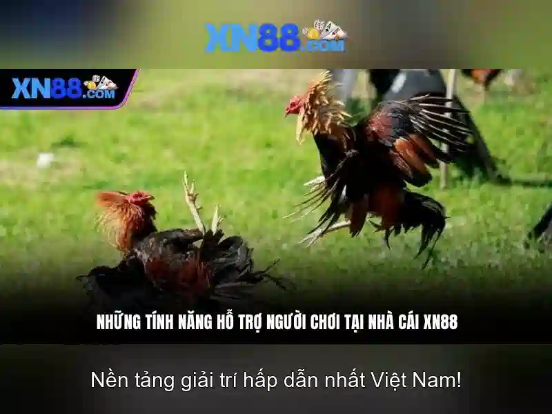xn88: Trải nghiệm giải trí trực tuyến an toàn và đáng tin cậy