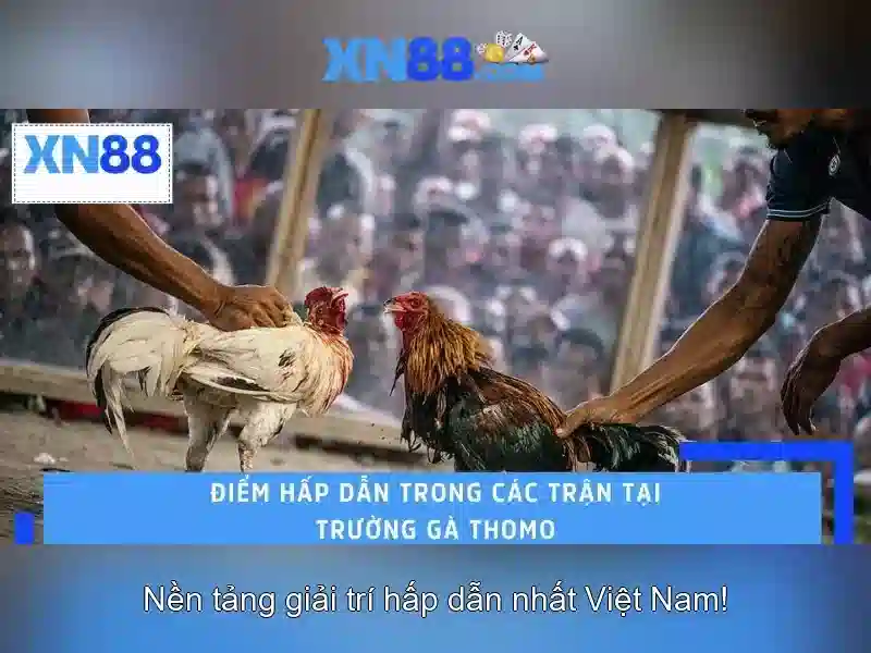 'xn88 – Nền tảng giải trí trực tuyến'