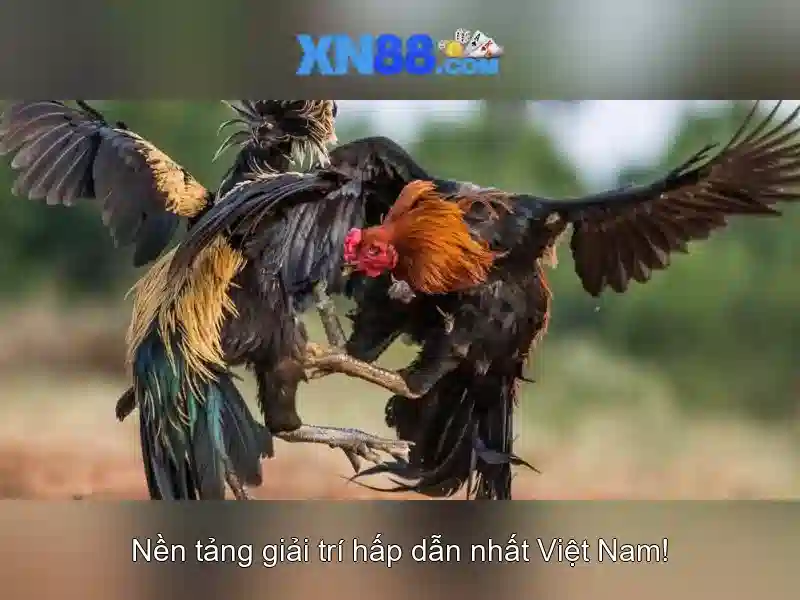 Trò chơi và khuyến mãi\n Trò chơi và khuyến mãi\n