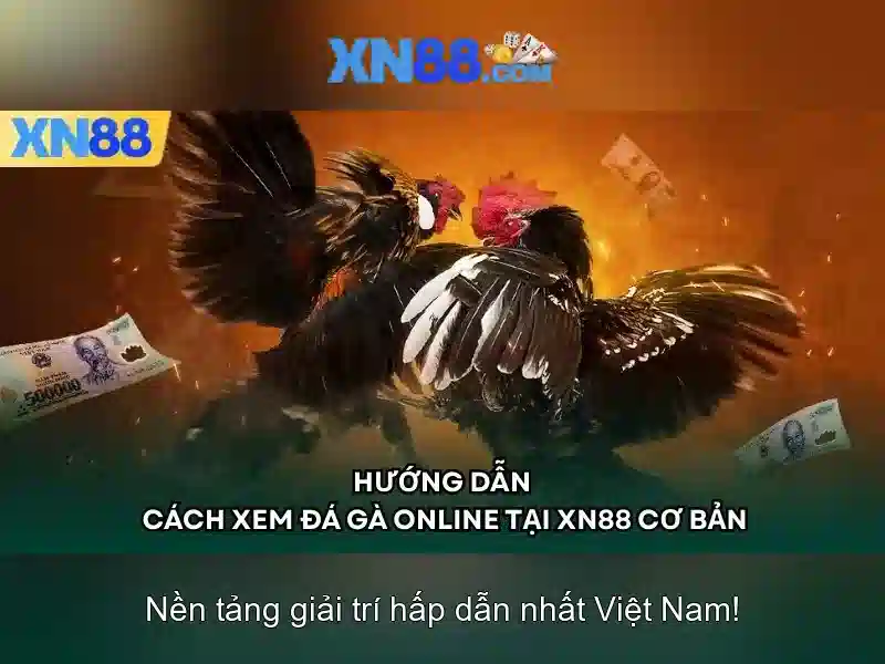 xn88: nền tảng trực tuyến về giải trí và trò chơi