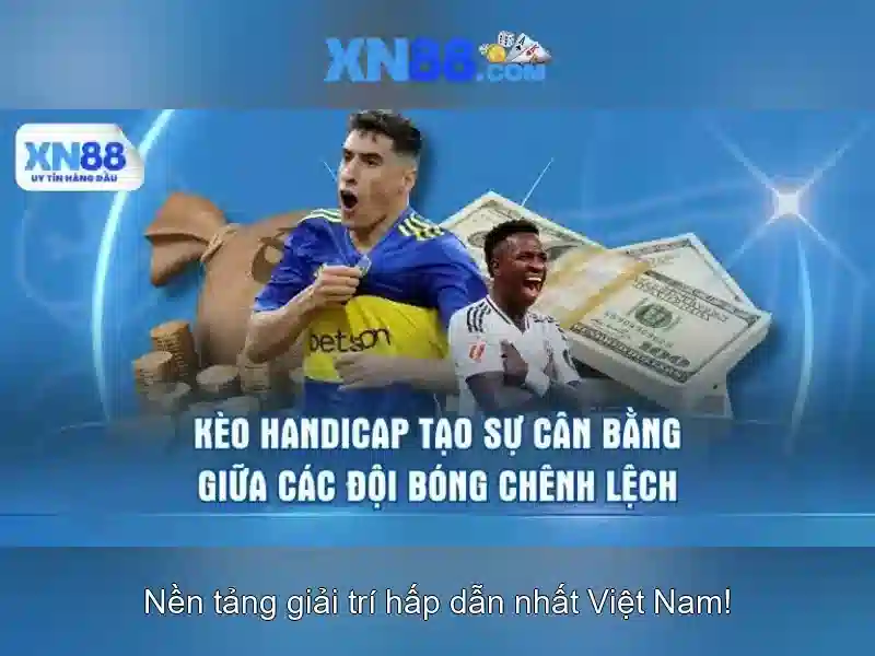 Nền tảng và trải nghiệm người dùng\n\n