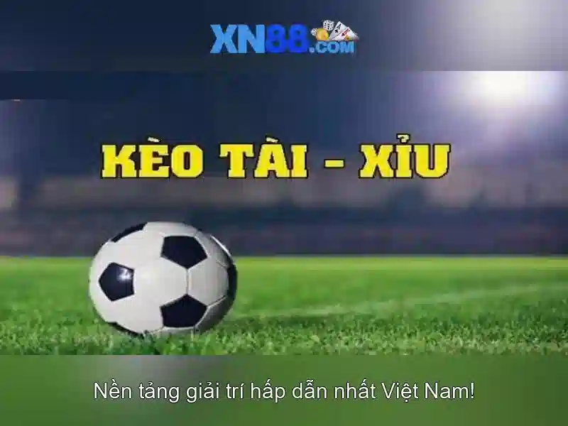 Khuyến mãi và cách tham gia\n Khuyến mãi và cách tham gia\n