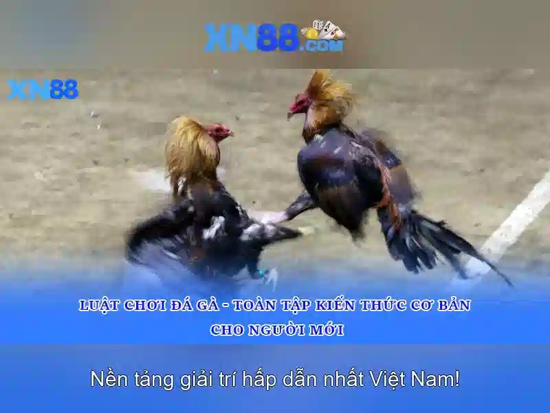 xn88 - Nền tảng cá cược và trò chơi trực tuyến