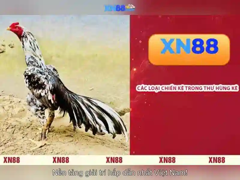Mẹo chơi bắn cá 3 cây dễ ăn tiền nhà cái