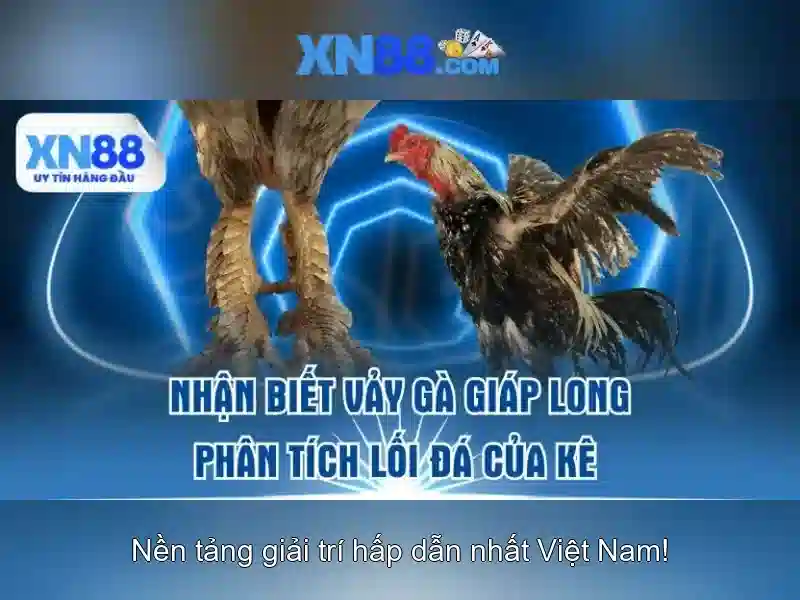 Tính năng nổi bật\n\n Tính năng nổi bật\n\n