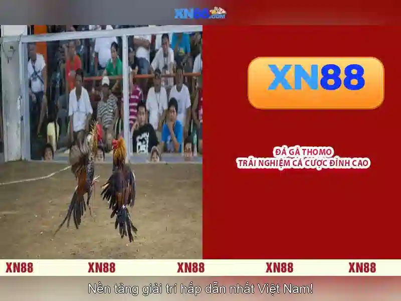 Mẹo chơi bắn cá 3 cây dễ ăn tiền nhà cái