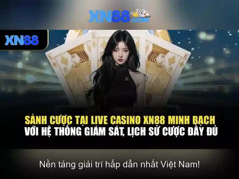 xn88 - một cái nhìn tổng quan