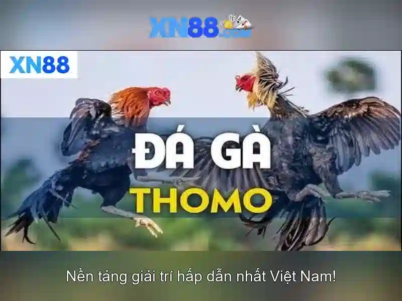 xn88 - Giới thiệu nền tảng\n