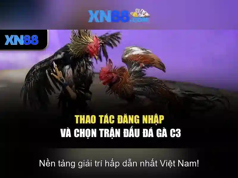 Trải nghiệm người dùng và giao diện\n\n Trải nghiệm người dùng và giao diện\n\n