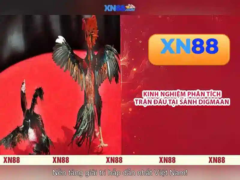 Điểm nổi bật của xn88\n