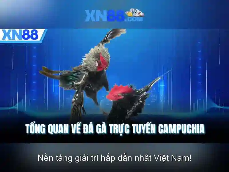Khuyến mãi và cách đăng ký Khuyến mãi và cách đăng ký