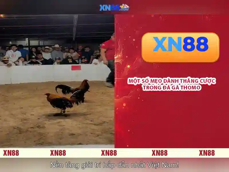 Mẹo chơi bắn cá 3 cây dễ ăn tiền nhà cái