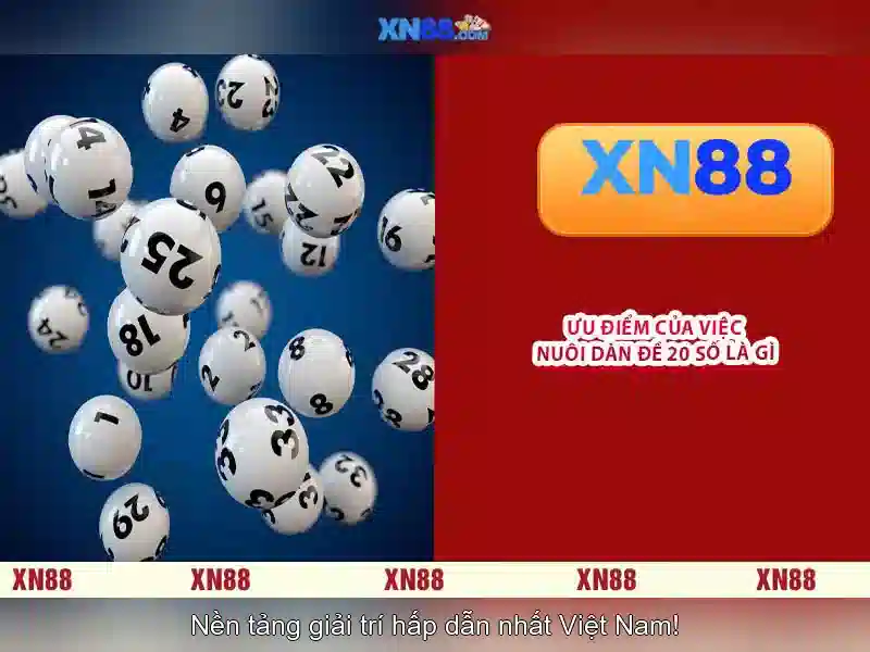 Nền tảng và giao diện\n Nền tảng và giao diện\n