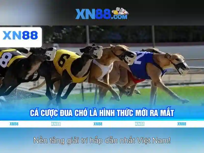 Nền tảng và công nghệ\n\n Nền tảng và công nghệ\n\n